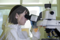 NEWS - Coronavirus: Weltweit erster Impfstoff gegen COVID-19 in Russland entwickelt
