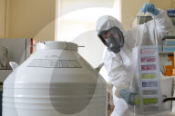 NEWS - Coronavirus: Weltweit erster Impfstoff gegen COVID-19 in Russland entwickelt
