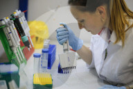 NEWS - Coronavirus: Weltweit erster Impfstoff gegen COVID-19 in Russland entwickelt
