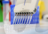 NEWS - Coronavirus: Weltweit erster Impfstoff gegen COVID-19 in Russland entwickelt
