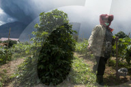 NEWS - Ausbruch des Sinabung-Vulkan in Indonesien
