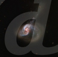 Ring of Stellar Wildfire