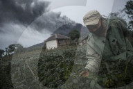 NEWS - Ausbruch des Sinabung-Vulkans - Indonesien
