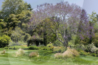 Meghan Markle and Prince Harry have reportedly bought this house in Montecito, California 