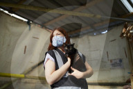 The pet project helping to get rough sleepers in the UK off the streets. How StreetVet helps its 1,060 homeless patients, from staffordshire bull terriers to rabbits (and their owners) into hostels