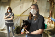 The pet project helping to get rough sleepers in the UK off the streets. How StreetVet helps its 1,060 homeless patients, from staffordshire bull terriers to rabbits (and their owners) into hostels