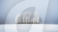 FEATURE - Die Siegerbilder der Wetter-Fotografie der Royal Meteorological Society 
