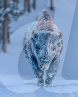 FEATURE - Die Siegerbilder der Wetter-Fotografie der Royal Meteorological Society 