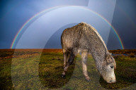 FEATURE - Die Siegerbilder der Wetter-Fotografie der Royal Meteorological Society 