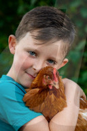 FEATURE - Den 6-jährigen Frankie Burnett und seine Henne Rosie verbindet eine innige Freundschaft