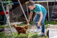 FEATURE - Den 6-jährigen Frankie Burnett und seine Henne Rosie verbindet eine innige Freundschaft
