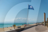 NEWS - Coronavirus: Mallorca wirkt nach Reisewarnung verlassen