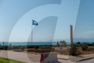 NEWS - Coronavirus: Mallorca wirkt nach Reisewarnung verlassen
