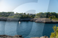 NEWS - Coronavirus: Mallorca wirkt nach Reisewarnung verlassen