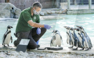 London Zoos 2020 annual weigh-in