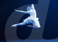 Bourne Swan Lake