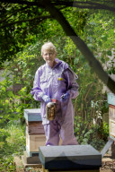 British apiarists knew it all along: honey is the bee's knees. As a study trumpets the food’s medicinal properties, there’s a buzz about beekeeping in the UK.