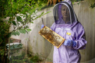 British apiarists knew it all along: honey is the bee's knees. As a study trumpets the food’s medicinal properties, there’s a buzz about beekeeping in the UK.