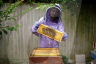 British apiarists knew it all along: honey is the bee's knees. As a study trumpets the food’s medicinal properties, there’s a buzz about beekeeping in the UK.