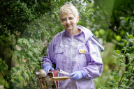 British apiarists knew it all along: honey is the bee's knees. As a study trumpets the food’s medicinal properties, there’s a buzz about beekeeping in the UK.