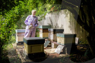 British apiarists knew it all along: honey is the bee's knees. As a study trumpets the food’s medicinal properties, there’s a buzz about beekeeping in the UK.