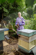British apiarists knew it all along: honey is the bee's knees. As a study trumpets the food’s medicinal properties, there’s a buzz about beekeeping in the UK.