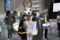 Julian Assange extradition hearing