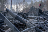 Native forests: why logging in Victoria and Tasmania is under pressure. Conservationists say legal action and industry certification failures should send a clear message to government forestry agencies.