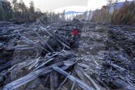 Native forests: why logging in Victoria and Tasmania is under pressure. Conservationists say legal action and industry certification failures should send a clear message to government forestry agencies.