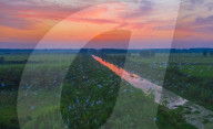 FEATURE - Über zehntausende von Reihern fliegen vor dem Sonnenuntergang in China
