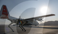 FEATURE - US-Armee testet Roboter-Patrouillenhunde