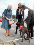 ROYALS - Camilla, Herzogin von Cornwall, besucht medizinische Spürhunde