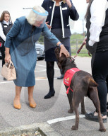 ROYALS - Camilla, Herzogin von Cornwall, besucht medizinische Spürhunde