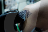 Make mine a Direwolf! The GoT tattoo parlour. Hold the door ... Game of Thrones tattoos. Photograph: Sarah Lee for the Guardian
Shares
31
To celebrate the last season of the fantasy behemoth, superfans have been queuing round the block for free tattoos