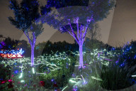 International Light Festival