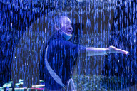 International Light Festival