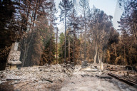 NEWS - ZerstÃ¶rung nach den WaldbrÃ¤nden im Santa Cruz County, Kalifornien