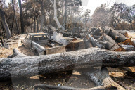 NEWS - ZerstÃ¶rung nach den WaldbrÃ¤nden im Santa Cruz County, Kalifornien