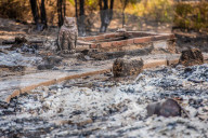 NEWS - ZerstÃ¶rung nach den WaldbrÃ¤nden im Santa Cruz County, Kalifornien