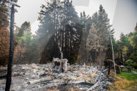 NEWS - ZerstÃ¶rung nach den WaldbrÃ¤nden im Santa Cruz County, Kalifornien