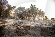 NEWS - ZerstÃ¶rung nach den WaldbrÃ¤nden im Santa Cruz County, Kalifornien