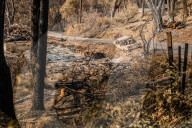 NEWS - ZerstÃ¶rung nach den WaldbrÃ¤nden im Santa Cruz County, Kalifornien
