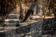 NEWS - ZerstÃ¶rung nach den WaldbrÃ¤nden im Santa Cruz County, Kalifornien
