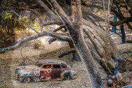 NEWS - ZerstÃ¶rung nach den WaldbrÃ¤nden im Santa Cruz County, Kalifornien