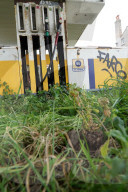 FEATURE - Verlassene, überwachsene Tankstelle: Projekt der "Vegetal attacks!" Bewegung
