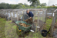 Derek Gow is winning over doubters in his bid to reintroduce storks, beavers, wildcats, water voles and much, much more