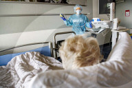 NEWS - Coronavirus: Gesundheitspersonal kümmert sich um Covid-19-Patienten im Spaarne Gasthuis Hospital in Haarlem