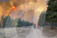 NEWS - Waldbrände in der russischen Region Woronesch