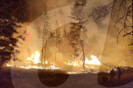 NEWS - Waldbrände in der russischen Region Woronesch