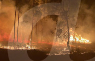 NEWS - Waldbrände in der russischen Region Woronesch